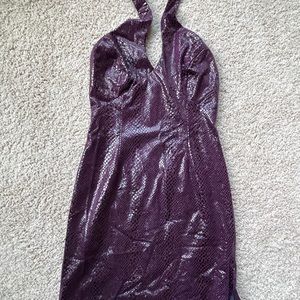 Caché Faux Leather Snakeskin Dress (Size 6)